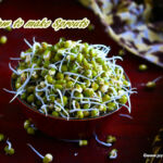 home-made-sprouts-recipe