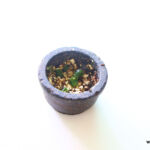 rasam recipe